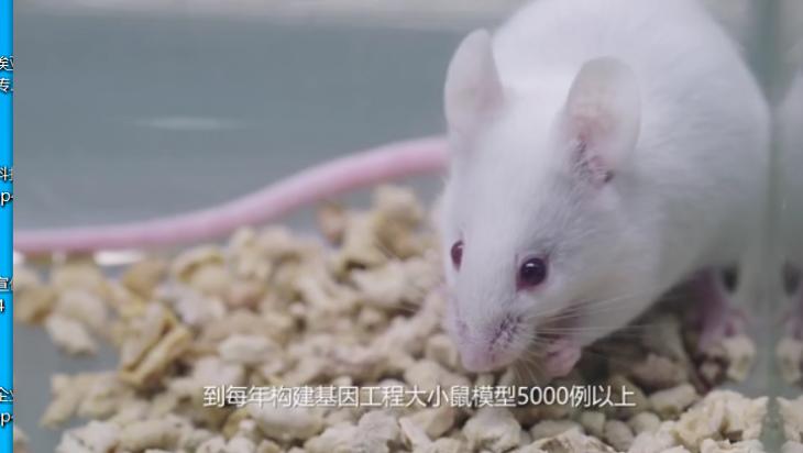 基因檢測(cè)宣傳片-生物科技宣傳片-蘇州宣傳片制作